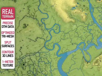 Ho Chi Minh - Topography Terrain Low-poly 3D model