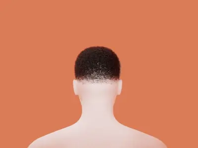 Fade Hair 3D model