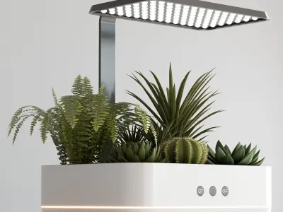 PLANTS IN DIGITAL VASE NO2 A 3D model