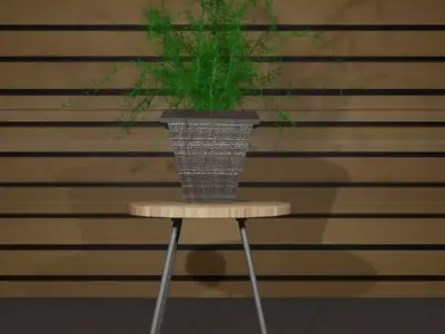 Indoor plant asparagus fern Low-poly 3D model