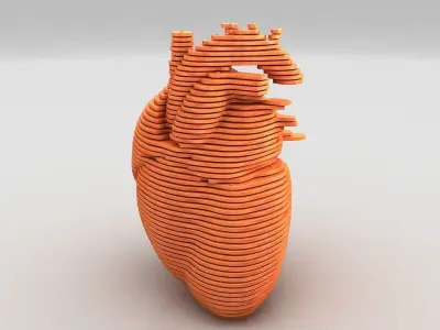 Parametric Human Heart Models 3D model