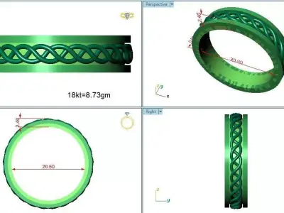 Revolving Band Ring  3D print model
