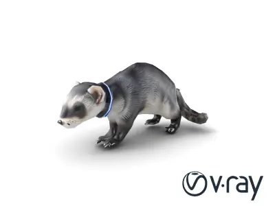 CyberClaw Ferret Tech Accessory model pack Low-poly 3D model