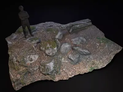 Beech forest ground - 5 of 6 - scan PBR Game ready Low-poly 3D model