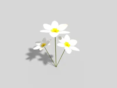 Low poly Plant flower Low-poly 3D model