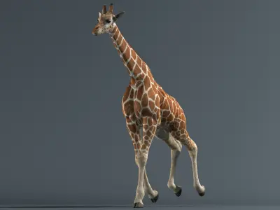  Giraffe Fur Animated 