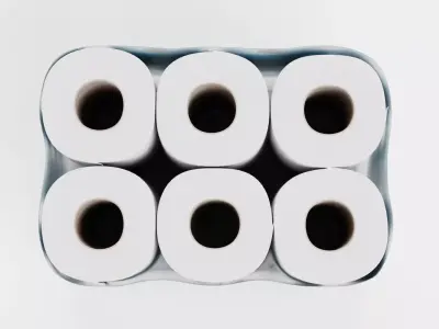 -Toilet Papers Pack V3- 3D model