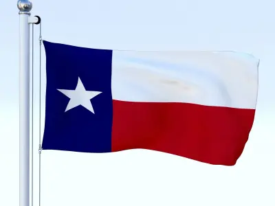 Animated US Flag Pack 3D model