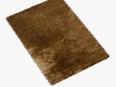 Carpet Brown 3D model