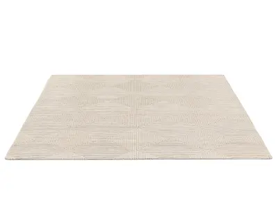  ISHARA HAND-KNOTTED WOOL RUG 3D model