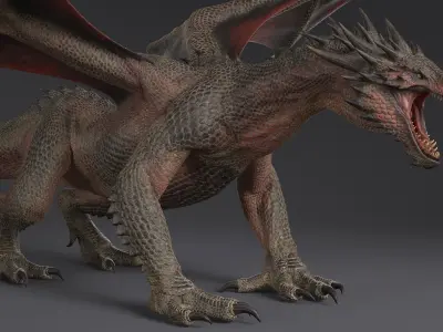  Dragon XO Rigged 