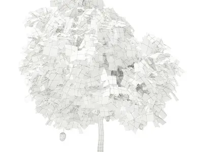 Mango Tree with Fruits 3D model