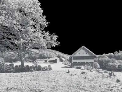 Solitary Farm - Typical Cultural Landscape 3D model