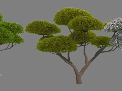  Cartoon Tree Collection 