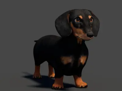  Rigged Black Dachshund Dog 3D Model 