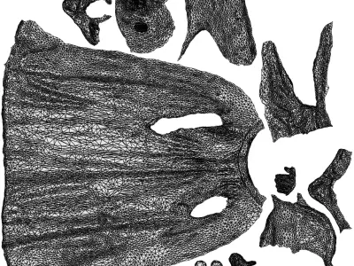 Basics0849 - A set containing 5 models of male and female 3D model