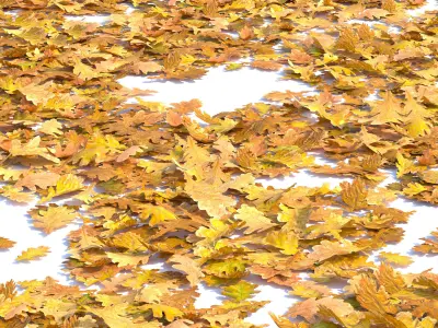 Autumn leaves Low-poly 3D model