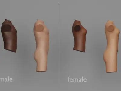 Tattoo Artist Torso Pack 3D model