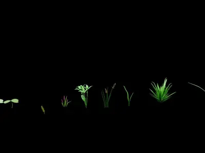 A set of grass for game locations Low-poly 3D model