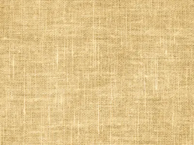 ZONCA table lamp and floor lamp 3D model