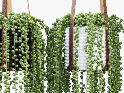 Plant hanger 3D model