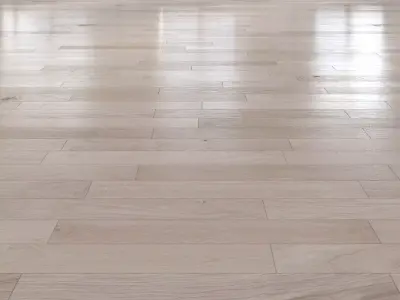 Oak Natural light floor 2 3D model