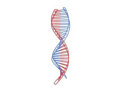 DNA Molecule v3 001 Low-poly 3D model