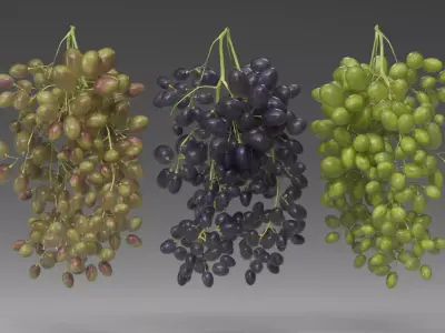 Grape 3D model