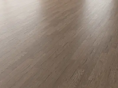 Parquet Oak Missisippi WWL set 7 3D model