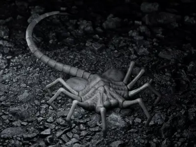 Facehugger rigged Low-poly 3D model