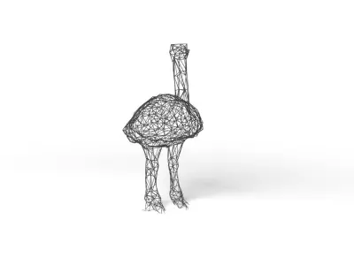 Ostrich Wireframe Low-poly 3D model