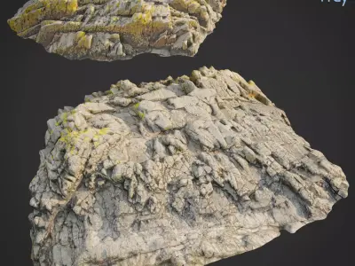 3d scanned rock cliff V 3D model