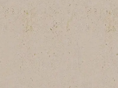 Concrete Rough Surface Texture