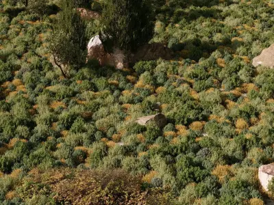 Maquis Shrubland Scatter - Archviz Asset 3D model