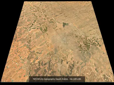 NEOM the LINE LIMITS topography Collection 3D Model Pack