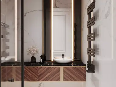 Bathroom design Interior style Neoclassical 3D model