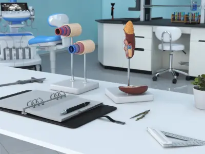  Vascular Doctors Workstation 