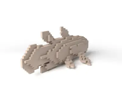 Coelacanth Minecraft Voxel Low-poly 3D model