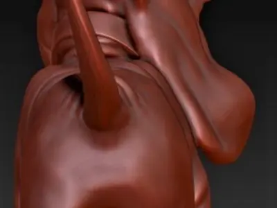 Basset-hound basset hound 3D print model