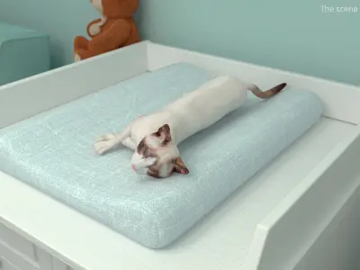  Ragdoll Cat Rigged for Cinema 4D 