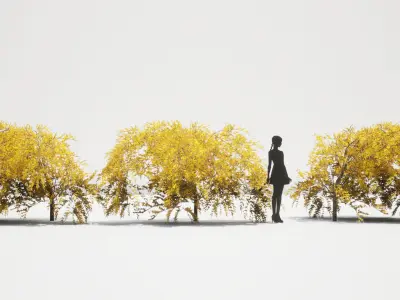 PREMIUM PLANT PACK - 10 realistic Korean Street Tree Pack 01 3D model