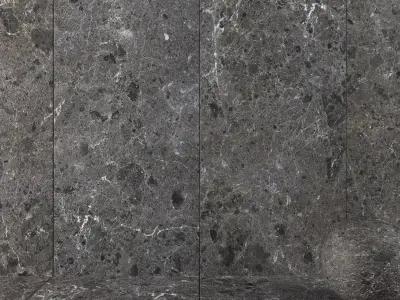 Stone Wall Tiles Satira Black 120x270 Texture