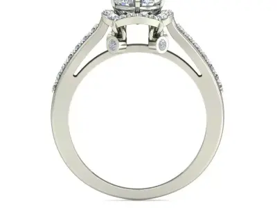 Women Ring  Render 3dm STL OBJ FBX Details 3D print model 256