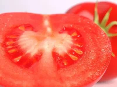 Hyperrealistic Tomato  3D model