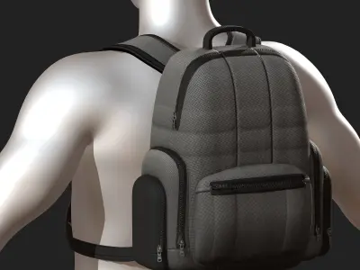 Backpack bag baggage Color 3d low poly Low-poly Low-poly 3D model