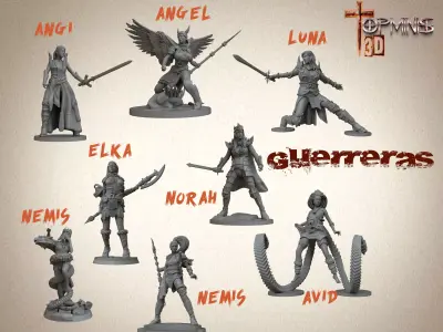 WARRIORS GUERRERAS A 3D print model
