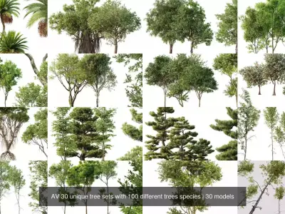 AV 30 unique tree sets with 100 different trees species 3D Model Pack