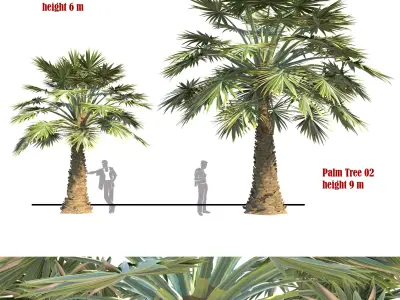 palm tree set 02 3D model