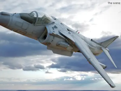  Multirole Combat Aircraft Flying Unarmed 