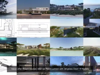 Value offer Beach houses 3dsmax Revit Lumion with 3d grass Deal 3D Model Pack